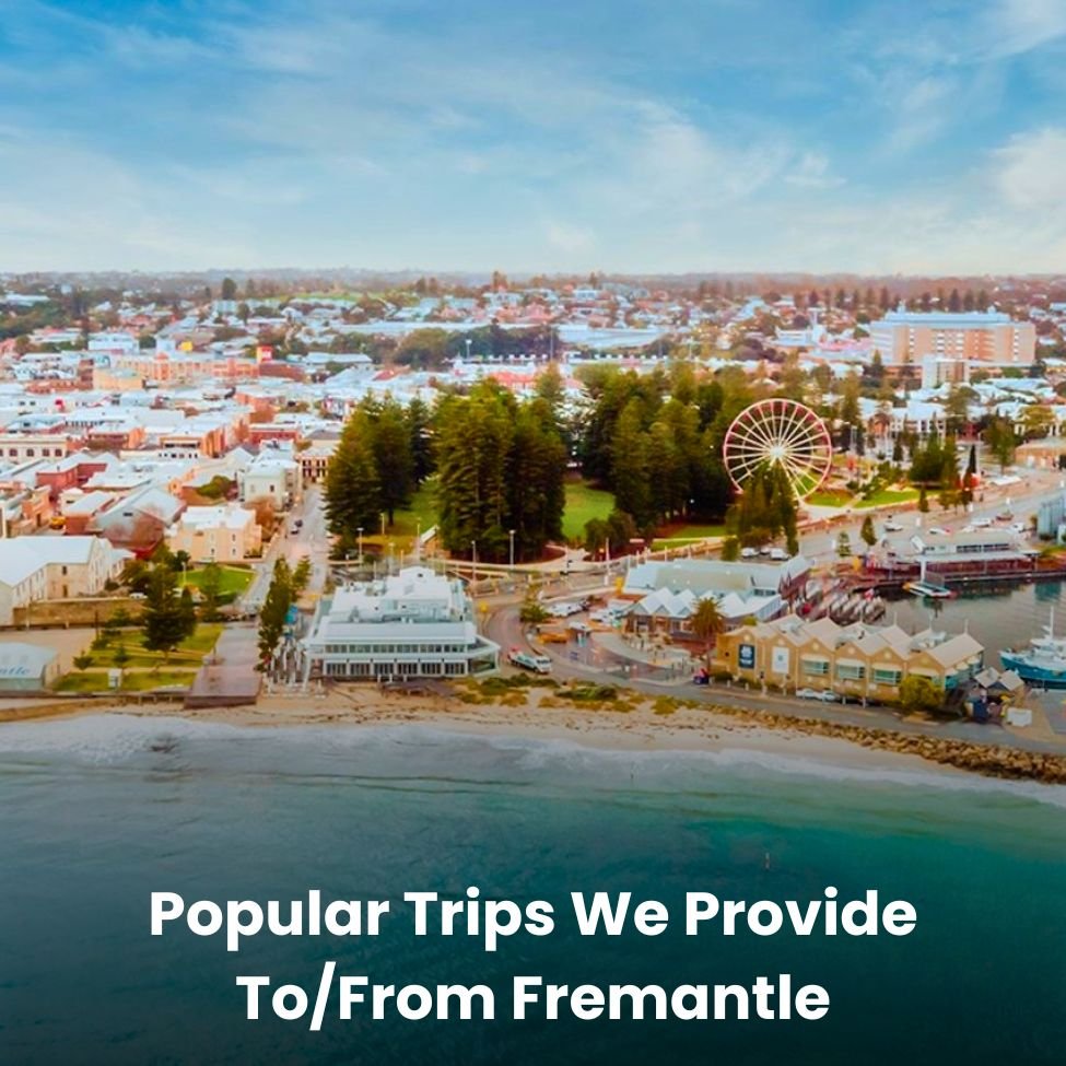 Popular Trips Perth Maxi Van Provide from Fremantle